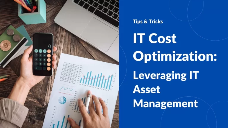 IT asset management: cost optimization