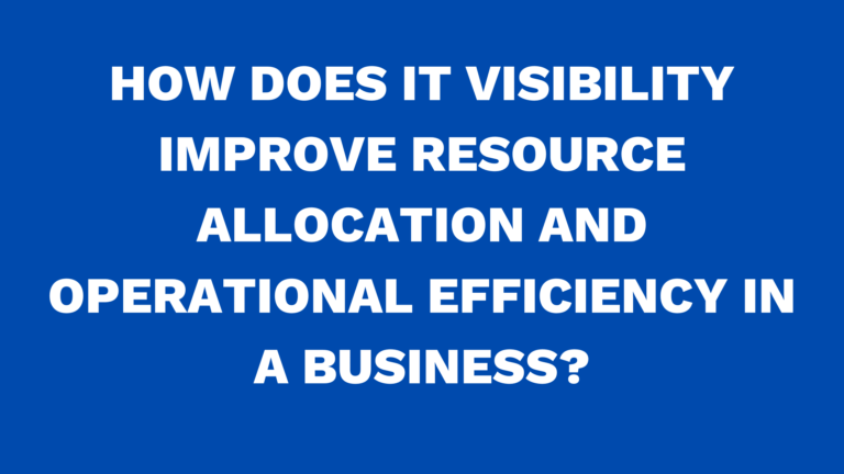 How does IT visibility improve resource allocation and operational efficiency in a business?