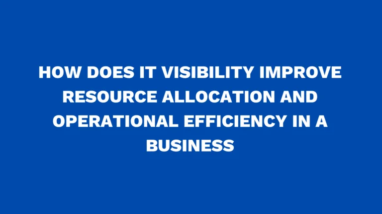 How does IT visibility improve resource allocation and operational efficiency in a business