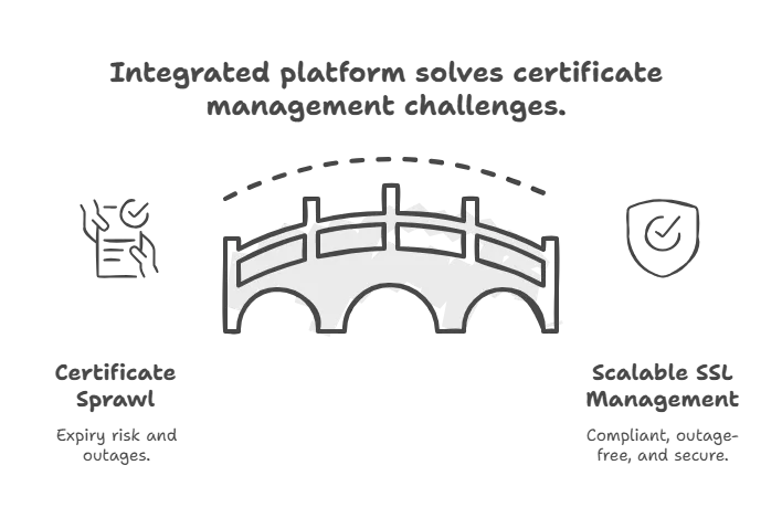 Real-Time Monitoring and Alerts