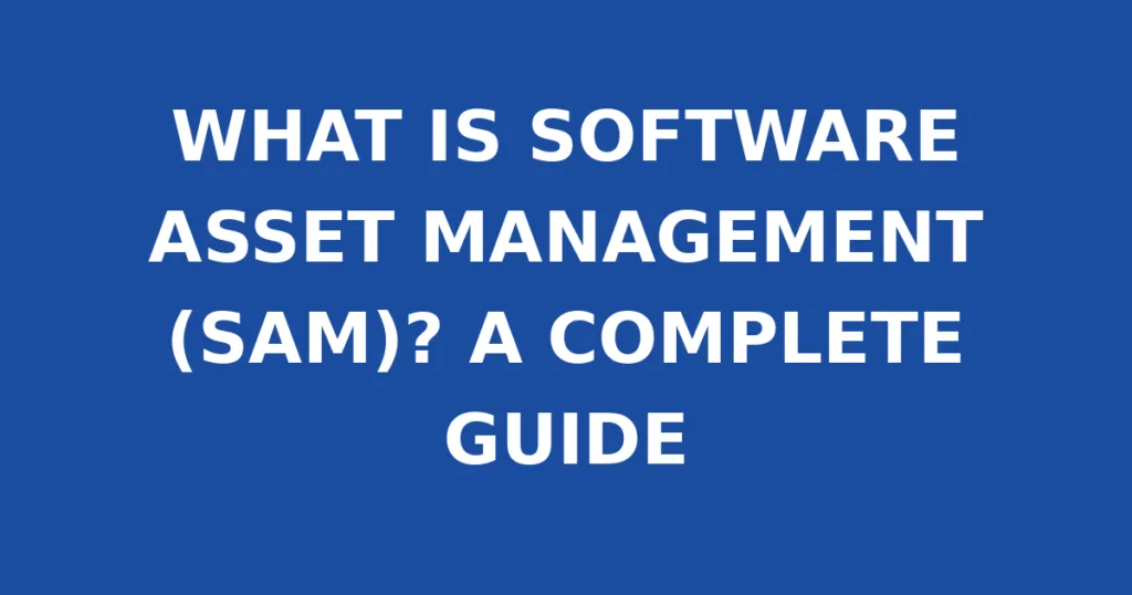 WHAT IS SOFTWARE ASSET MANAGEMENT (SAM)? A COMPLETE GUIDE