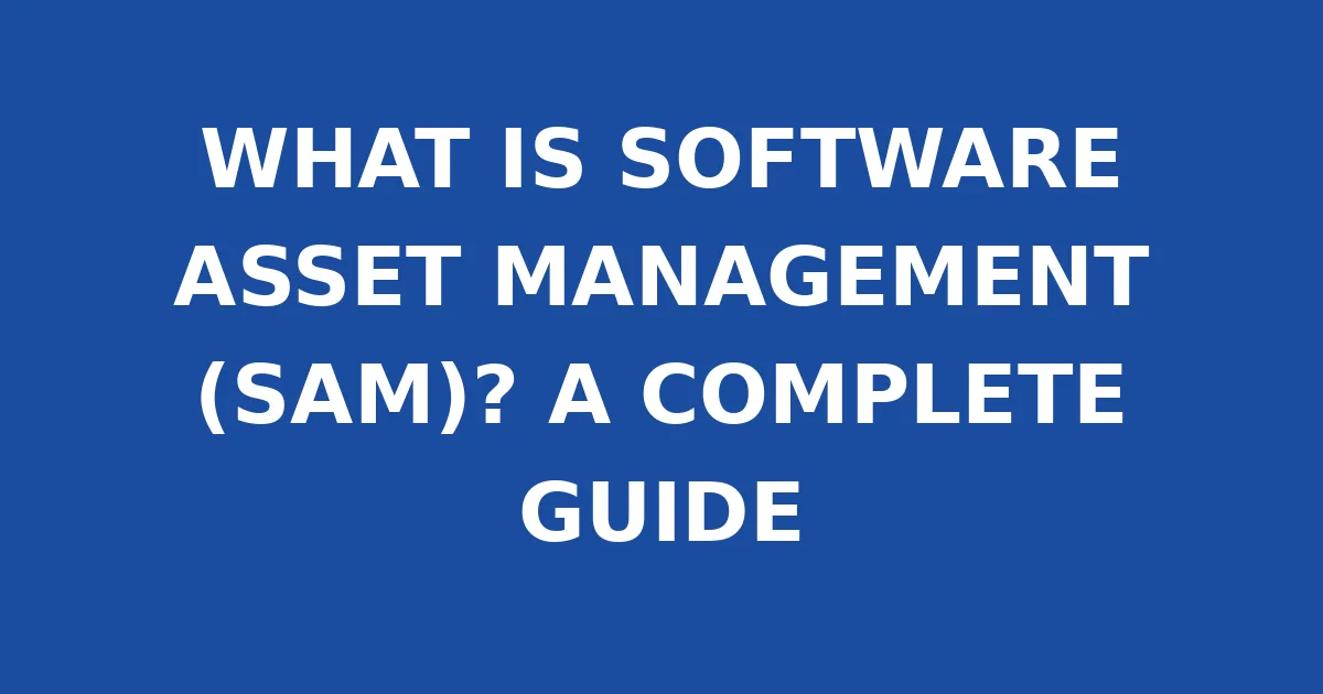 WHAT IS SOFTWARE ASSET MANAGEMENT (SAM)? A COMPLETE GUIDE